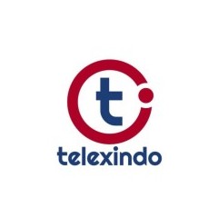 Logo Telexindo Bizmart